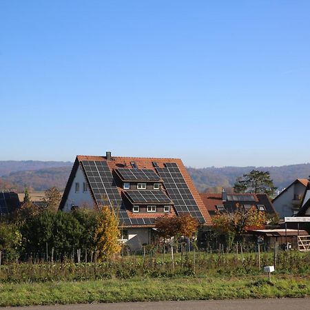 Hotel Garni Alte Post Schallbach Exterior foto